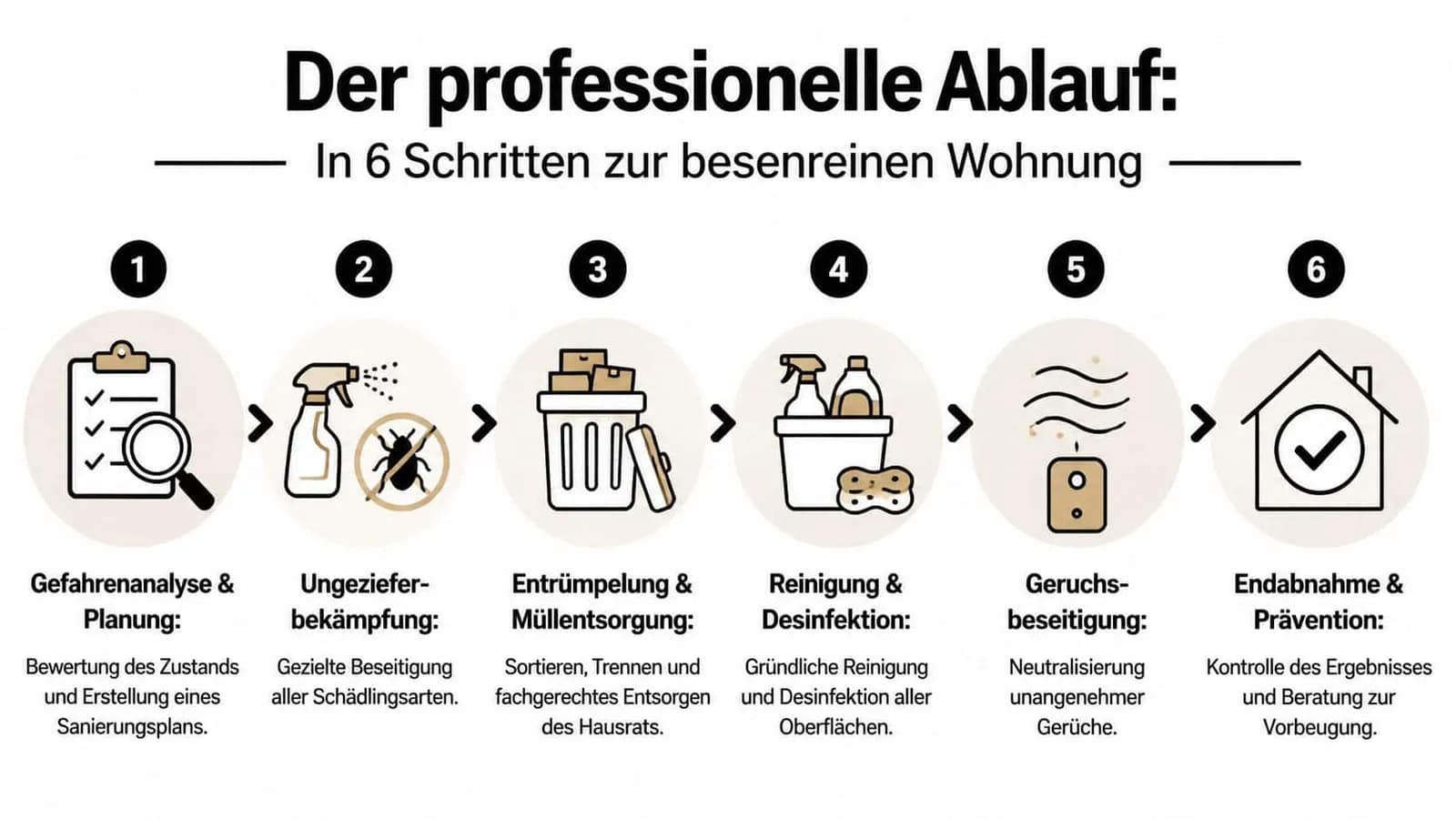 Eine sechsstufige Infografik zum professionellen Ablauf einer Wohnungsentrümpelung von der Gefahrenanalyse bis zur abschließenden Reinigung und Prävention.